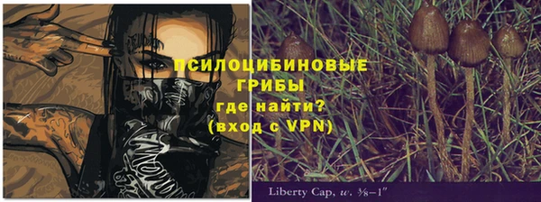 хмурый Абаза