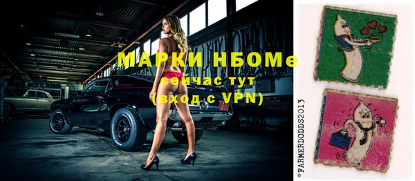 хмурый Абаза