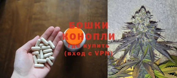 хмурый Абаза
