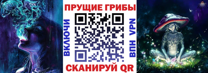 Псилоцибиновые грибы мицелий  как найти закладки  Катайск 